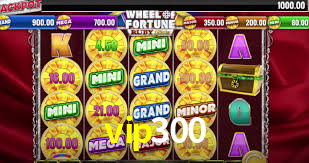 Tournaments vip300
