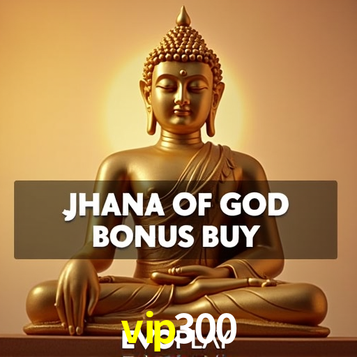 Account Benefits vip300